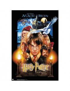 Poster Harry Potter Y La...