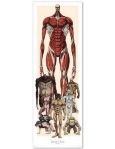 Poster Puerta Attack on Titan 53x1'58cm