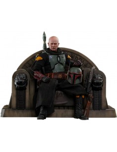 Star Wars The Mandalorian...